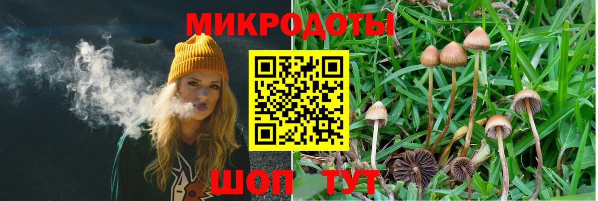 Усть-Илимск  Галлюциногенные грибы мицелий  Вход с VPN 